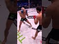 Gegard Mousasi Takedown! ? #shorts #bellator296