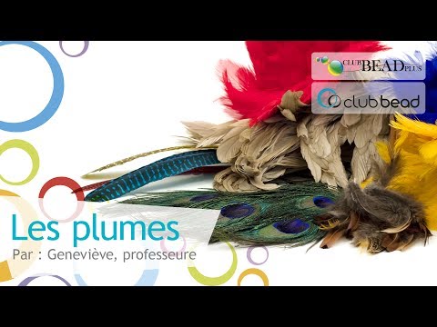 comment colorer des plumes