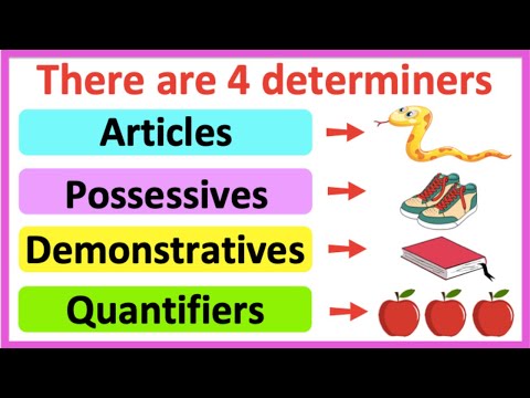 DETERMINERS 🤔 | Articles, Possessives, Demonstratives, & Quantifiers | Learn with examples