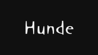 Hunde Music Video