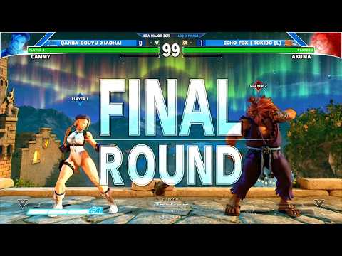 Street Fighter V | EVO 2017 - SFV Sneaky Tokido Demon - #SEAM2017