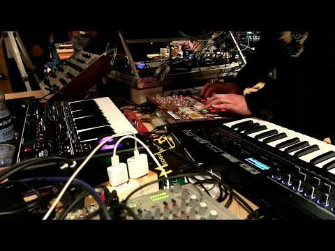 Nerdlich der Mitte VIII 2023 - Moogulator live-jam