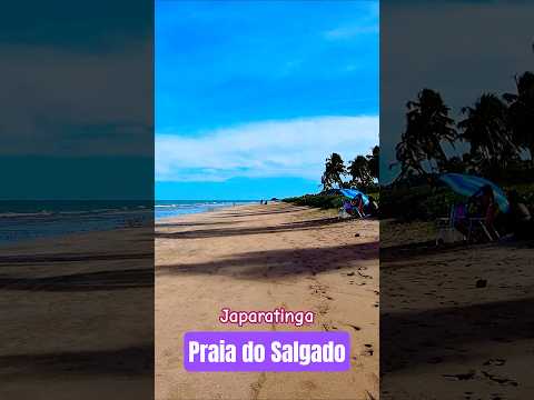 Como é a Praia do Salgado em Japaratinga AL