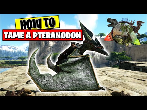 ARK SURVIVAL - HOW TO TAME A PTERANODON