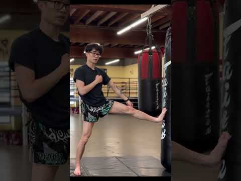 Fix Your Teep 🥊 | Muay Thai Push Kick Basics