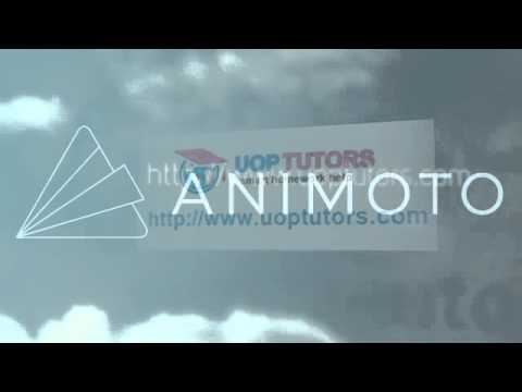 PSY 220 Week 4 CheckPoint Intelligence vs  Wisdom