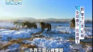 [問卦] 再一次冰河期能活下來的是肥宅還是猛男