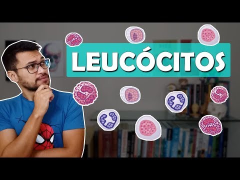 IMMUNE SYSTEM CELLS [Immuno 01]