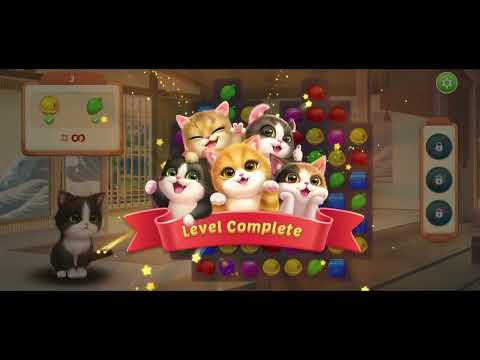 Kitten Match - We are building a house for cute cats - Animal house