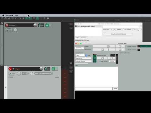 NINJAM (Online Jamming Plugin) in REAPER (v6.07 and newer)