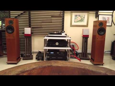 Vermouth Audio Black Pearl Speaker Cable and Red Velvet Power Cable Sampler 2