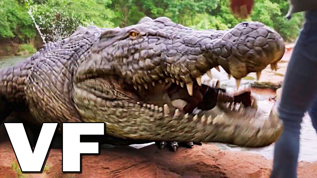 Miniature de la vidéo RUFUS ET LE ROYAUME D'ALYNE Bande Annonce VF (2020) Aventure du film Rufus et le Royaume d'Alyne