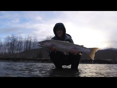 Kitimat River Spring Steelhead (April 10th 2022)