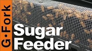 Best Sugar Feeder? - Beginnning Beekeeping - GardenFork
