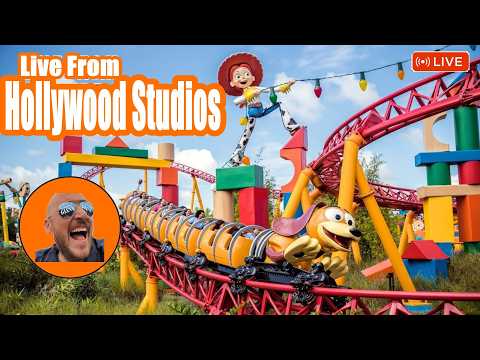 Live webcam of Theme Park Giant