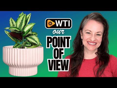 OXART Ceramic Pots for Plants - WTI product video review