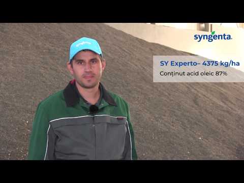 Testimonial Syngenta - Cosmin Micu