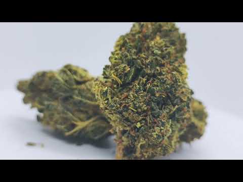 La fleur légal, la plus puissante du marché 32% de Cannabinoïdes