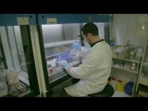 Spark Award 2015: Erick Carreira and Manfred Kopf