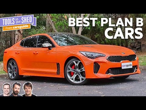 Podcast: Mustang or Stinger? Great alternatives to the best sellers - Tools in the Shed ep. 157