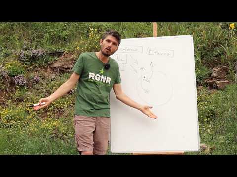 Semaine spécial jeûne n°5 : Jeûne hydrique ou jeûne sec ?