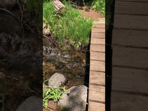 Trail to Treasure Island