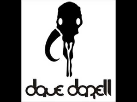 flash 2.9 (dave darell remix)