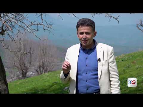 مطالب بضوابط قانونية لحماية نباتات المرتفعات 