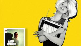 ►Walter Wanderley◄ - Saudade Querida