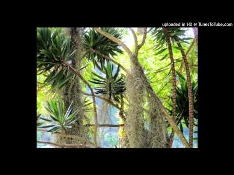 Today's Tango Is... Clavel del Aire - Florindo Sassone 16-08-1962