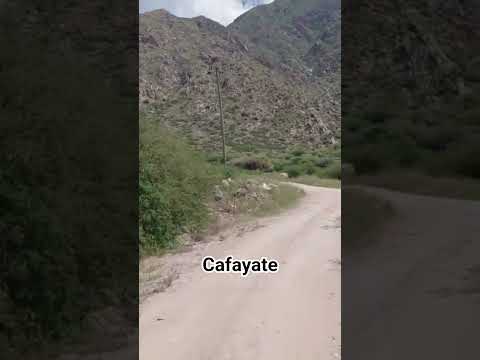 Camino a los viñedos - Cafayate♥️  #cafayate #bodegas #salta
