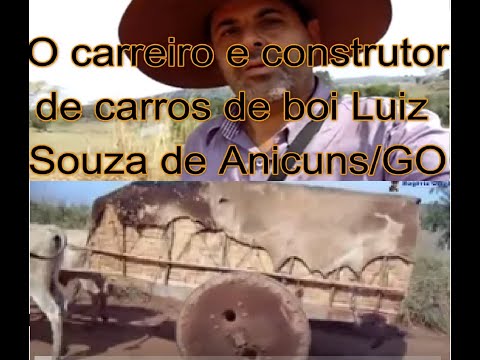 O carreiro e construtor de carros de boi Luiz Souza de Anicuns/GO