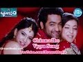 Chinnadho Vypu Song - Brindaavanam Movie ...