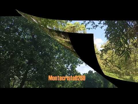 Una Leccion De Amor - Juan Morales Martinez