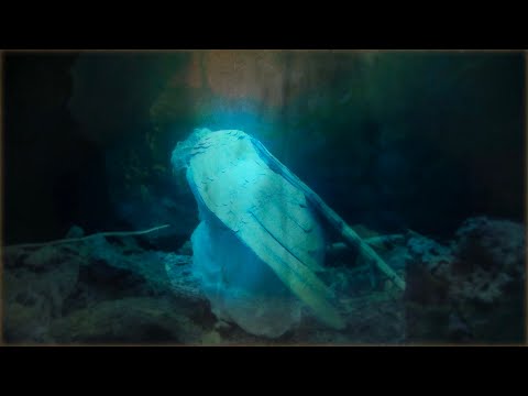 SERAPH - Génesi (Official Music Video)