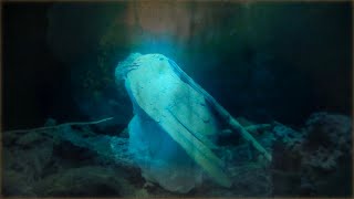 SERAPH - Génesi (Official Music Video)