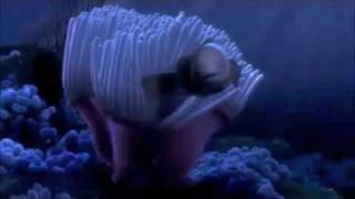 Finding Nemo - Nemo Egg Scene