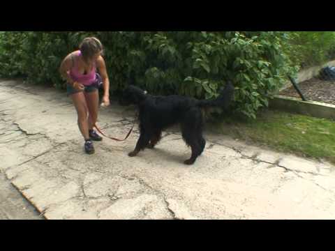 Spiro, sygnał neutralny, przyspieszanie zawracania, budowanie motywacji