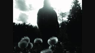 Tenhi - Kahluu (Fury Revived)