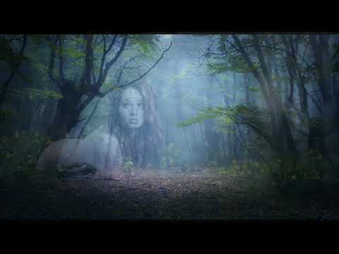 Menkalian - The Mysterious Forest