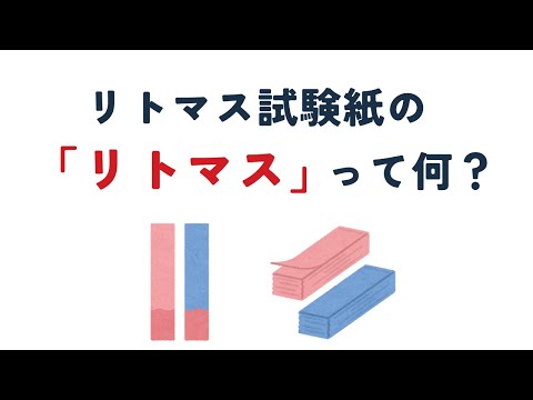 豊作は月の満ち欠けによるものですか、それともあなたの勤勉によるものですか?月を眺めながらガーデニング：神話か現実か？  庭園