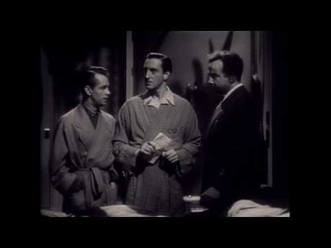 afbeelding Black Cat, The