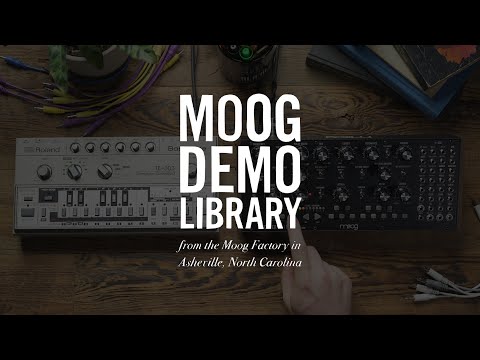 Mother-32 | How to Create Variable Accents for Acid Bass Lines