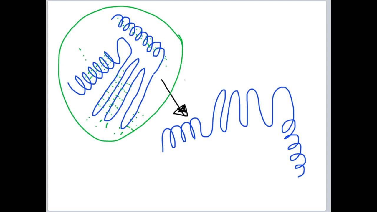 Domains, Motifs and Turns (Lecture 3)