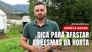 Miniatura do vídeo