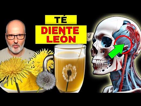 DISEASES that HEAL with DANDELION TEA (HOW TO USE IT)