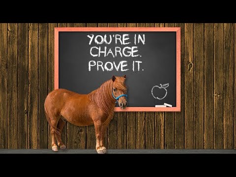 Fundamentals With Phoenix: Lesson 6 - You're in charge. Prove it.