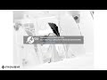 VeggieTales The Island Of Perpetual Tickling I Inverted Black And White Reversed High Pitched