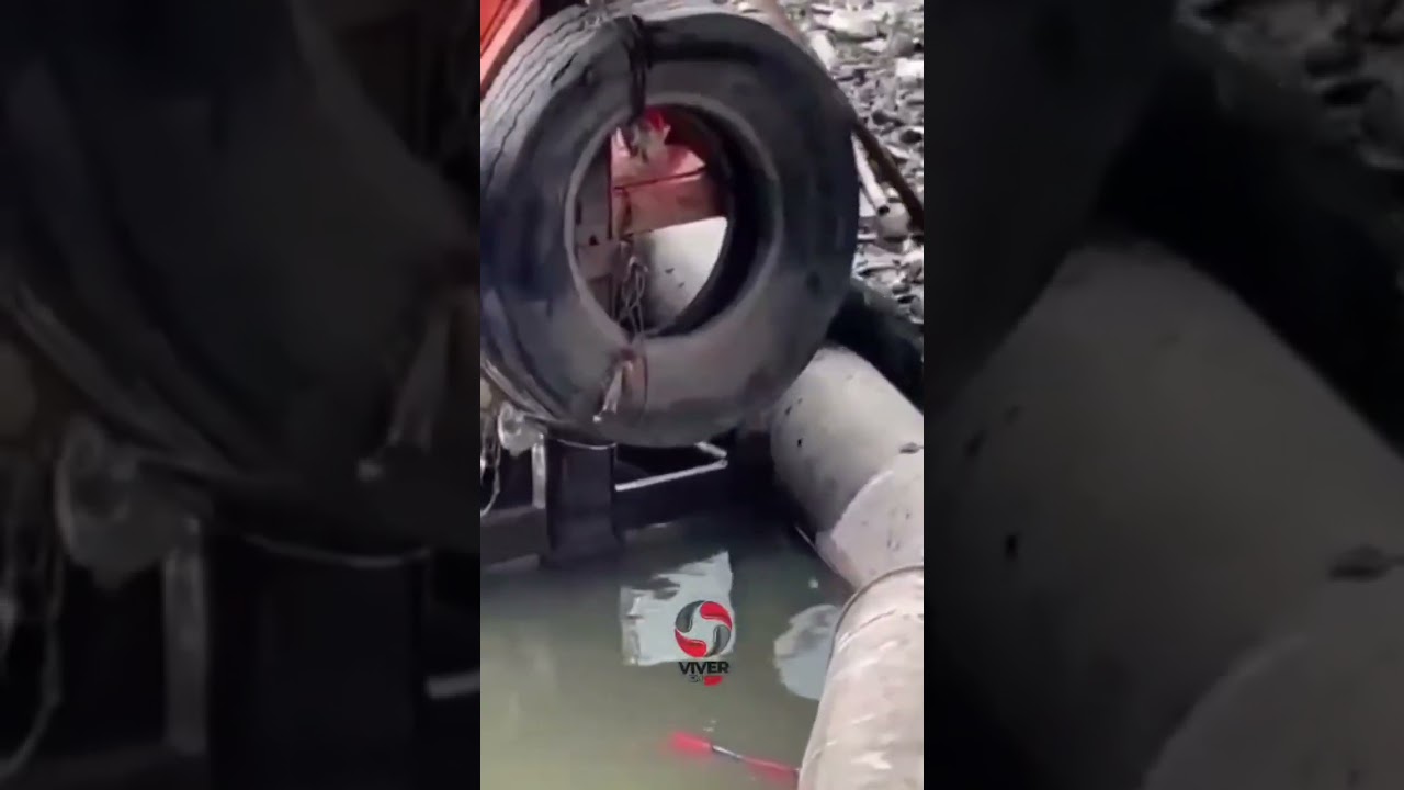 Cadela é resgatada em meio ao lixo flutuante no rio Pinheiros em São Paulo.