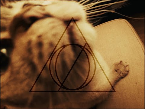 Point Mort - Skinned Teeth (clip video)